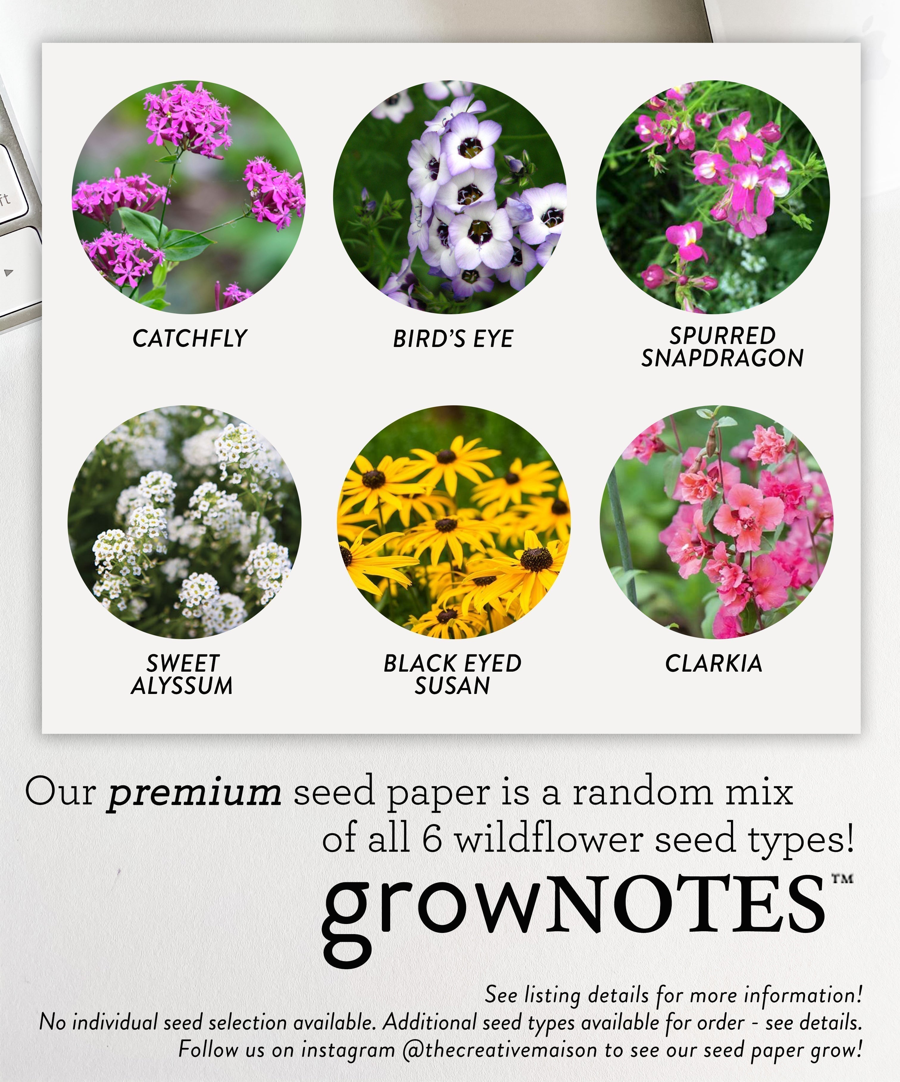 growNOTES™ Plantable Menu - Pressed Flowers (20 Count Set)
