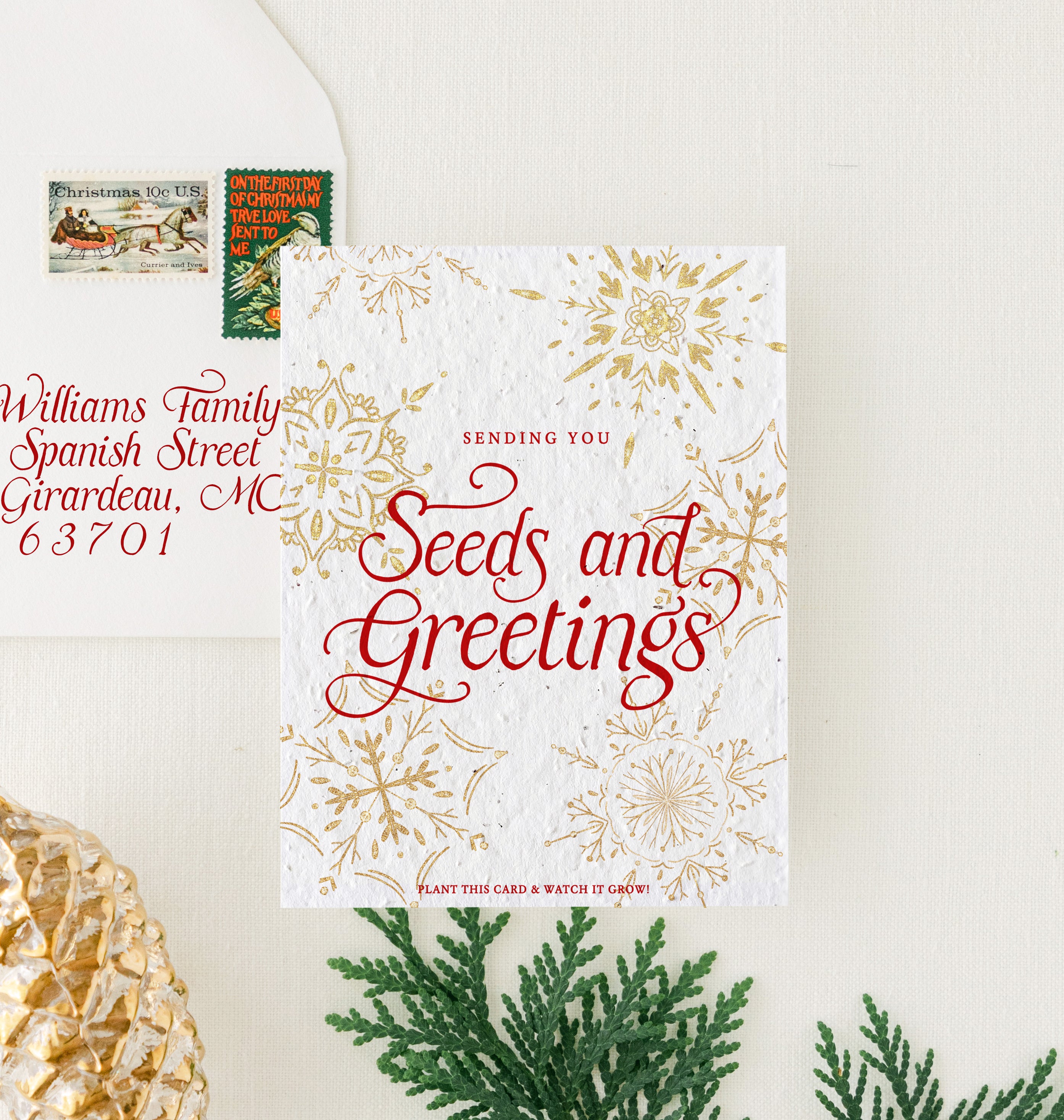 "Seeds and Greetings" Personalized Plantable Christmas Card on Wildflower Seed Paper: Set of 10