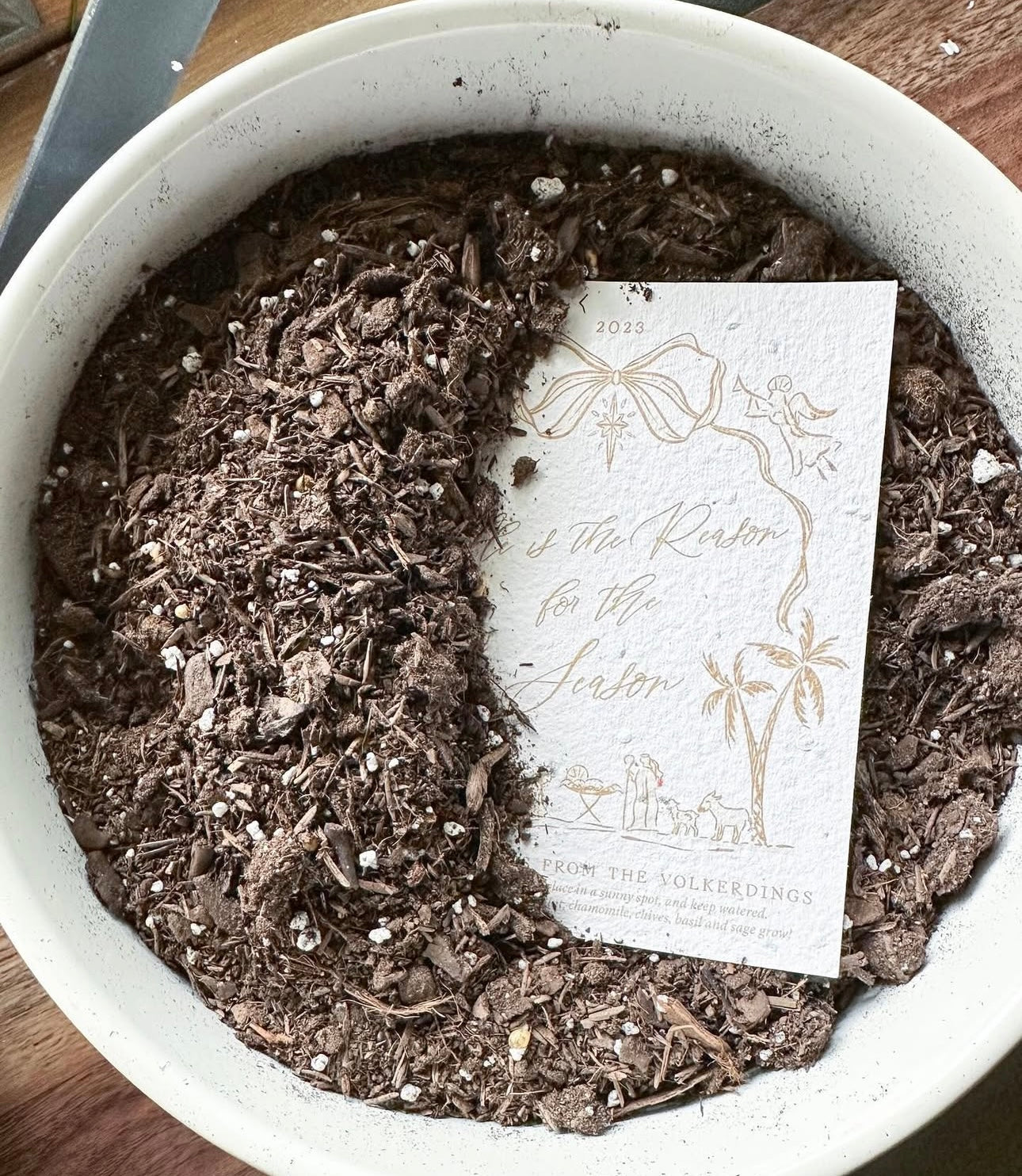 Personalized Plantable Christmas Card on Wildflower Seed Paper: Santa Happy Holidays - Set of 10