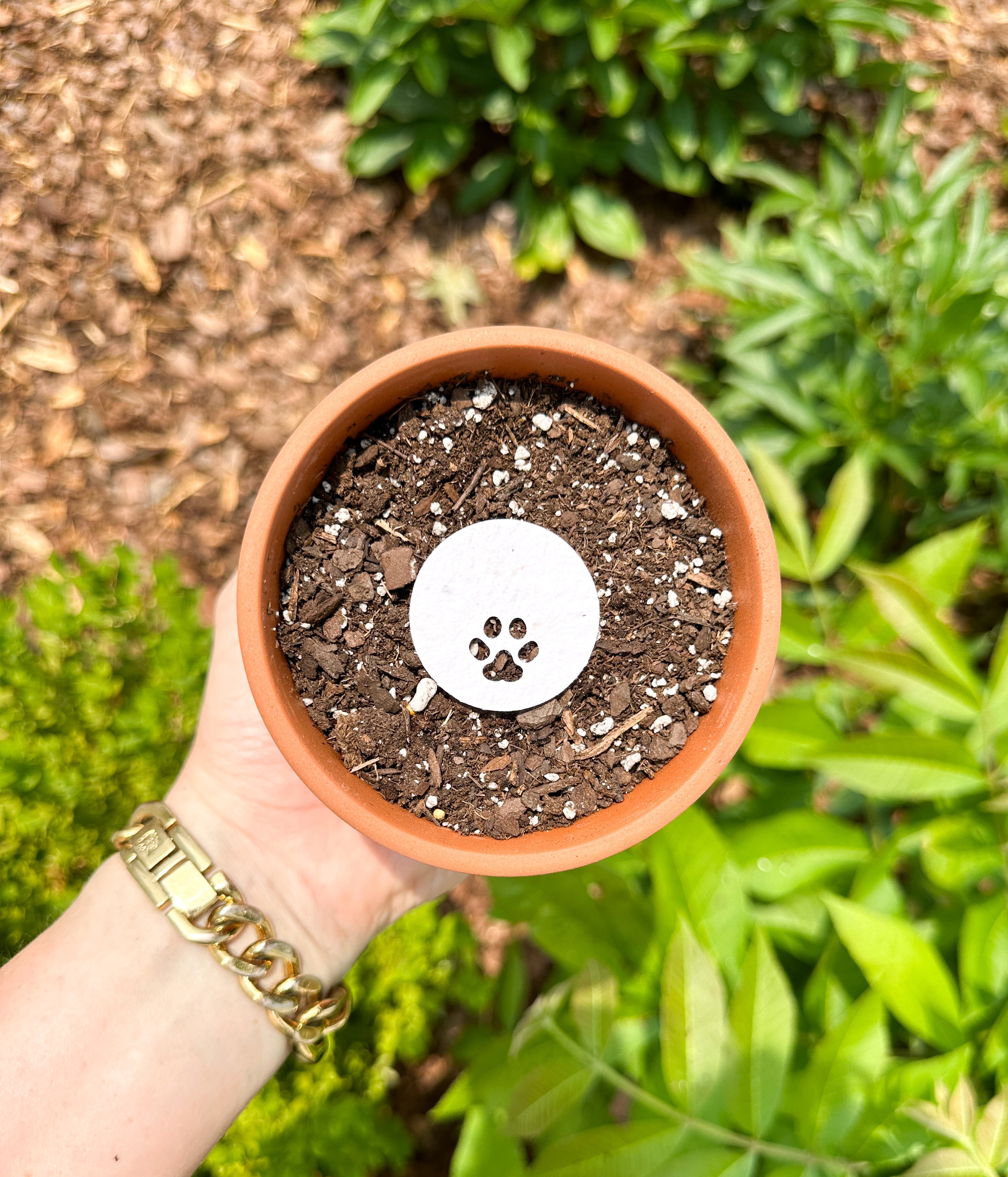 sympathy seeds to plant growNOTES In Memory Of Pet Sympathy Cards Your Furry Friend