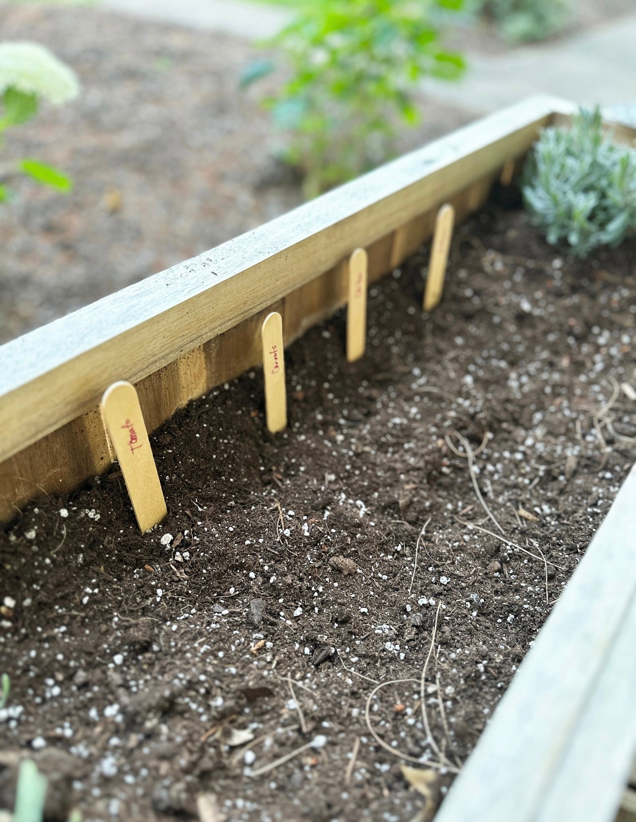 growNOTES™ Let's Grow Together Mini Veggie Garden Bookmark Kits