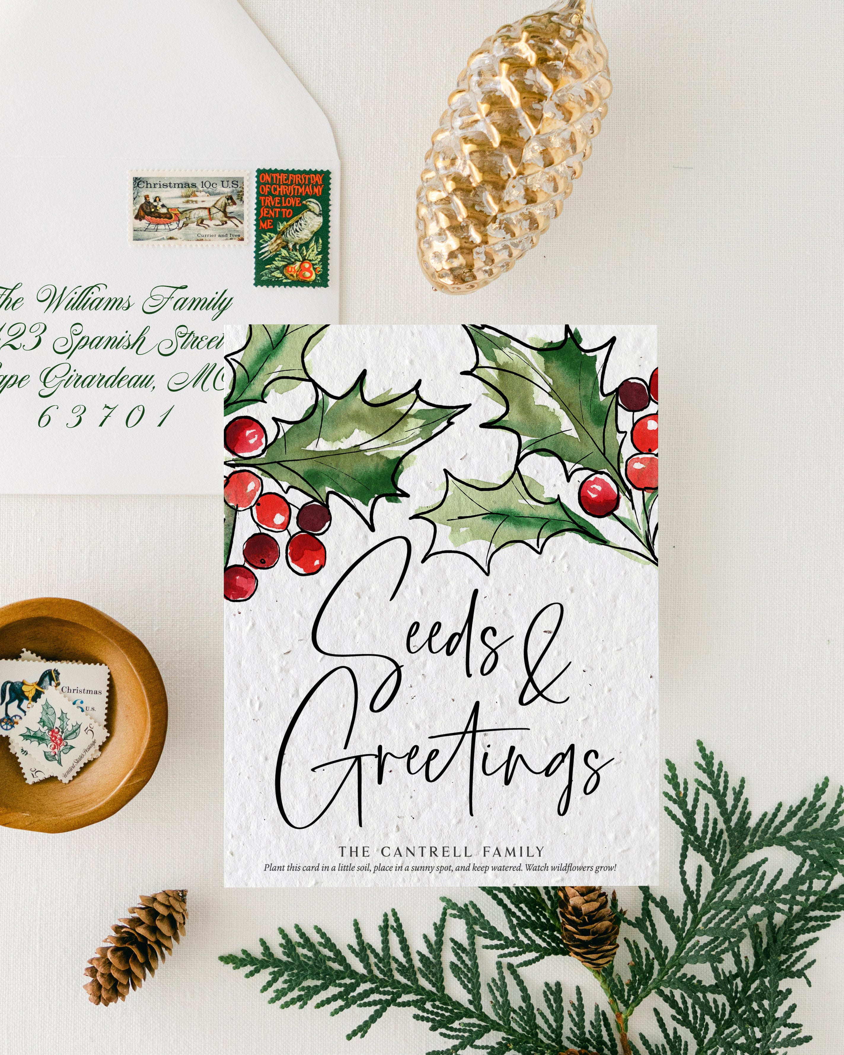 "Seeds & Greetings Poinsettias" Personalized Plantable Christmas Card on Wildflower Seed Paper: Set of 10