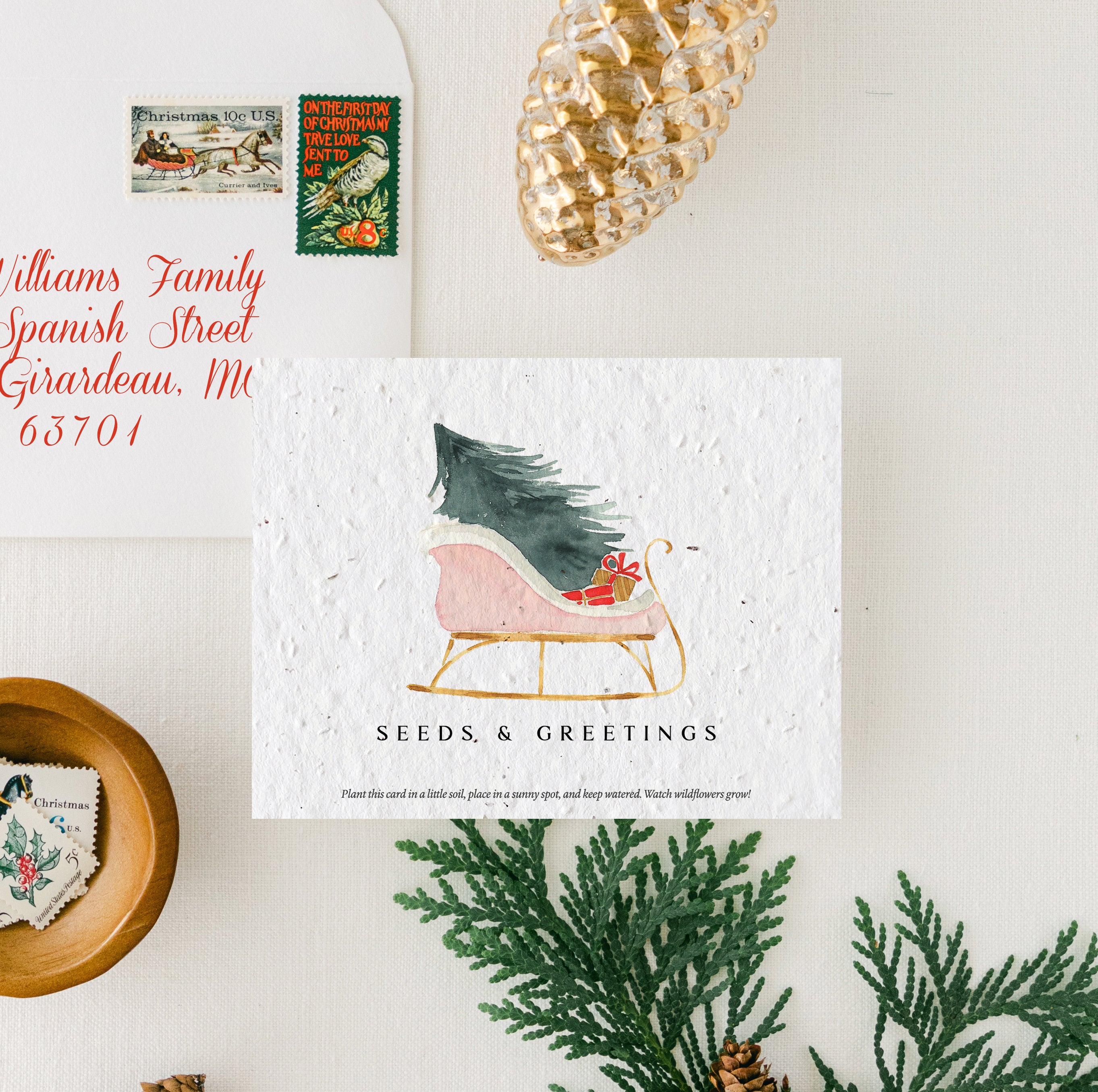 "Seeds & Greetings Pink Sleigh" Personalized Plantable Holiday Card on Wildflower Seed Paper: Set of 10
