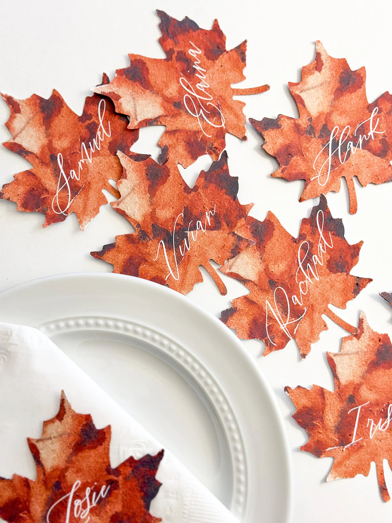 growNOTES™ Plantable Maple Leaf Place Setting Cards
