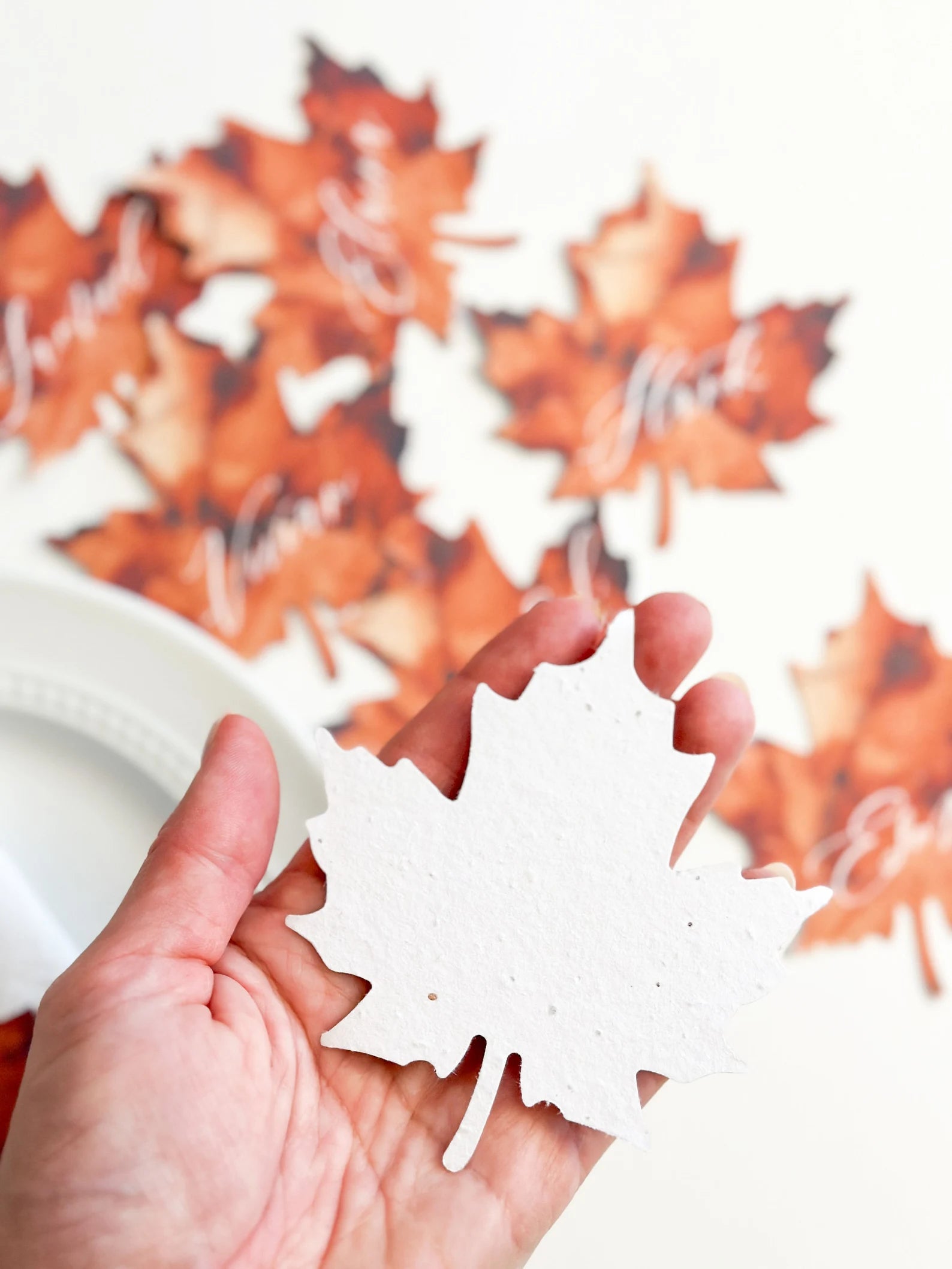growNOTES™ Plantable Maple Leaf Place Setting Cards