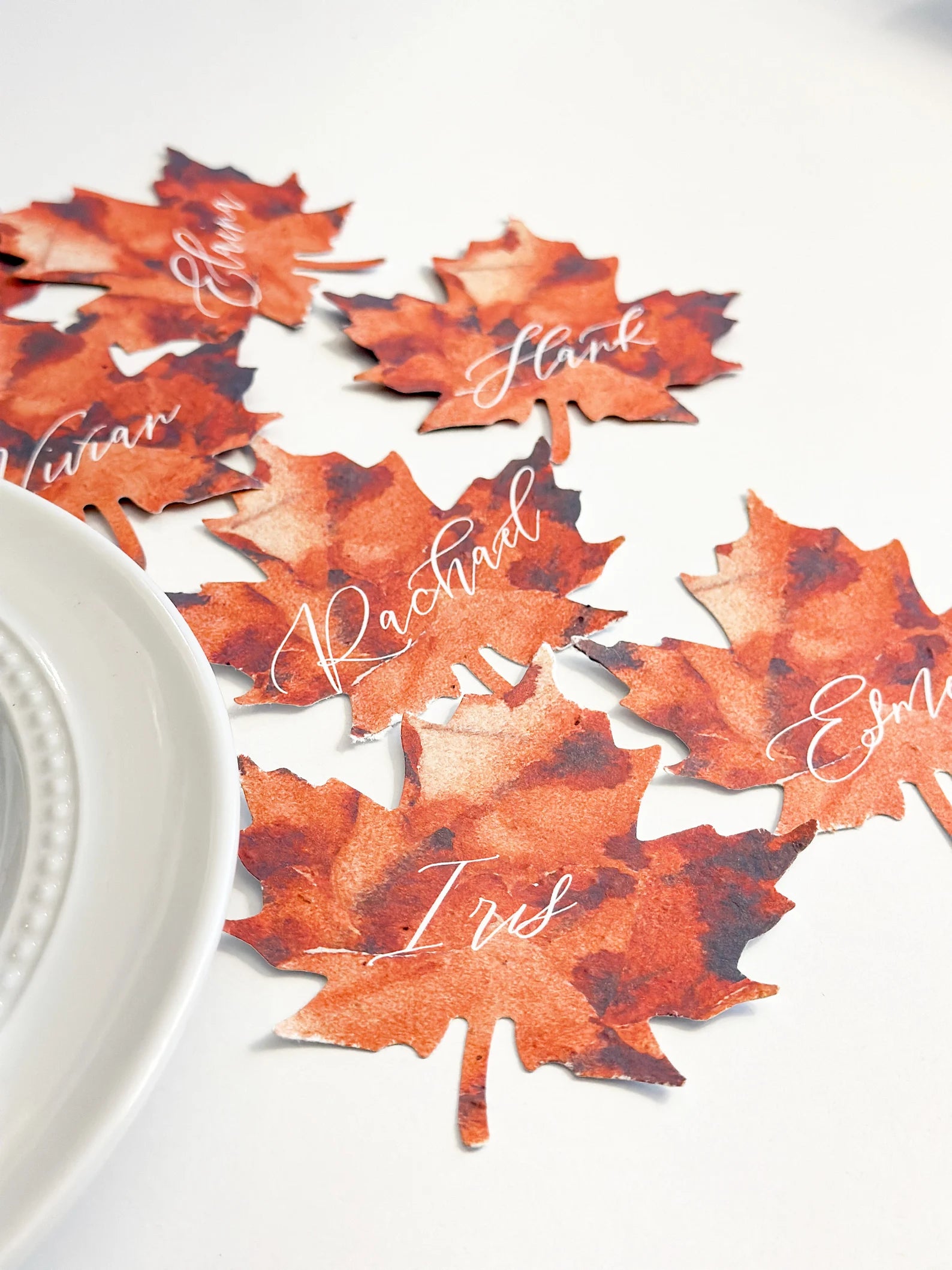 growNOTES™ Plantable Maple Leaf Place Setting Cards