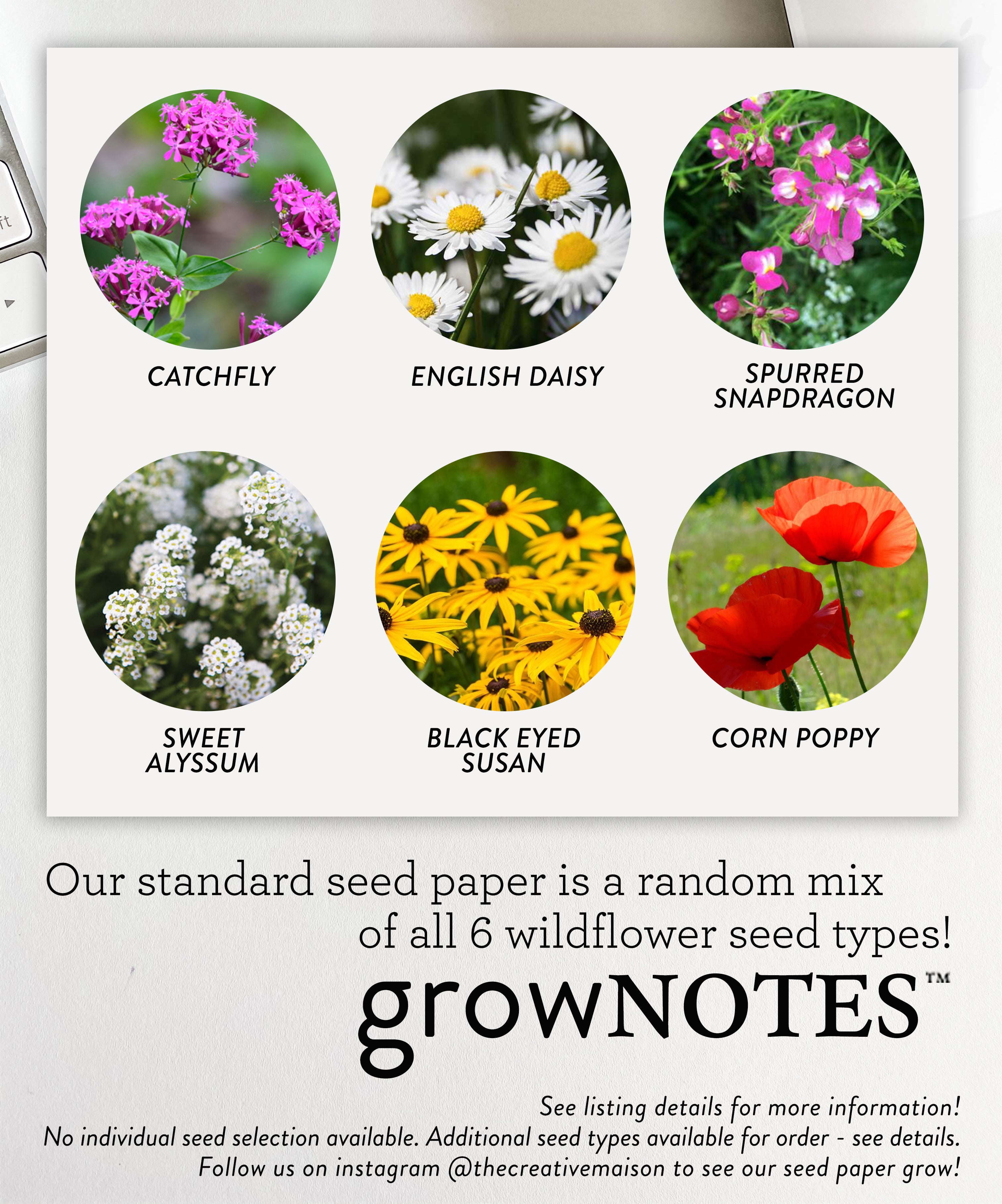 growNOTES™ Mailers - Invitations with Plantable Seed Paper