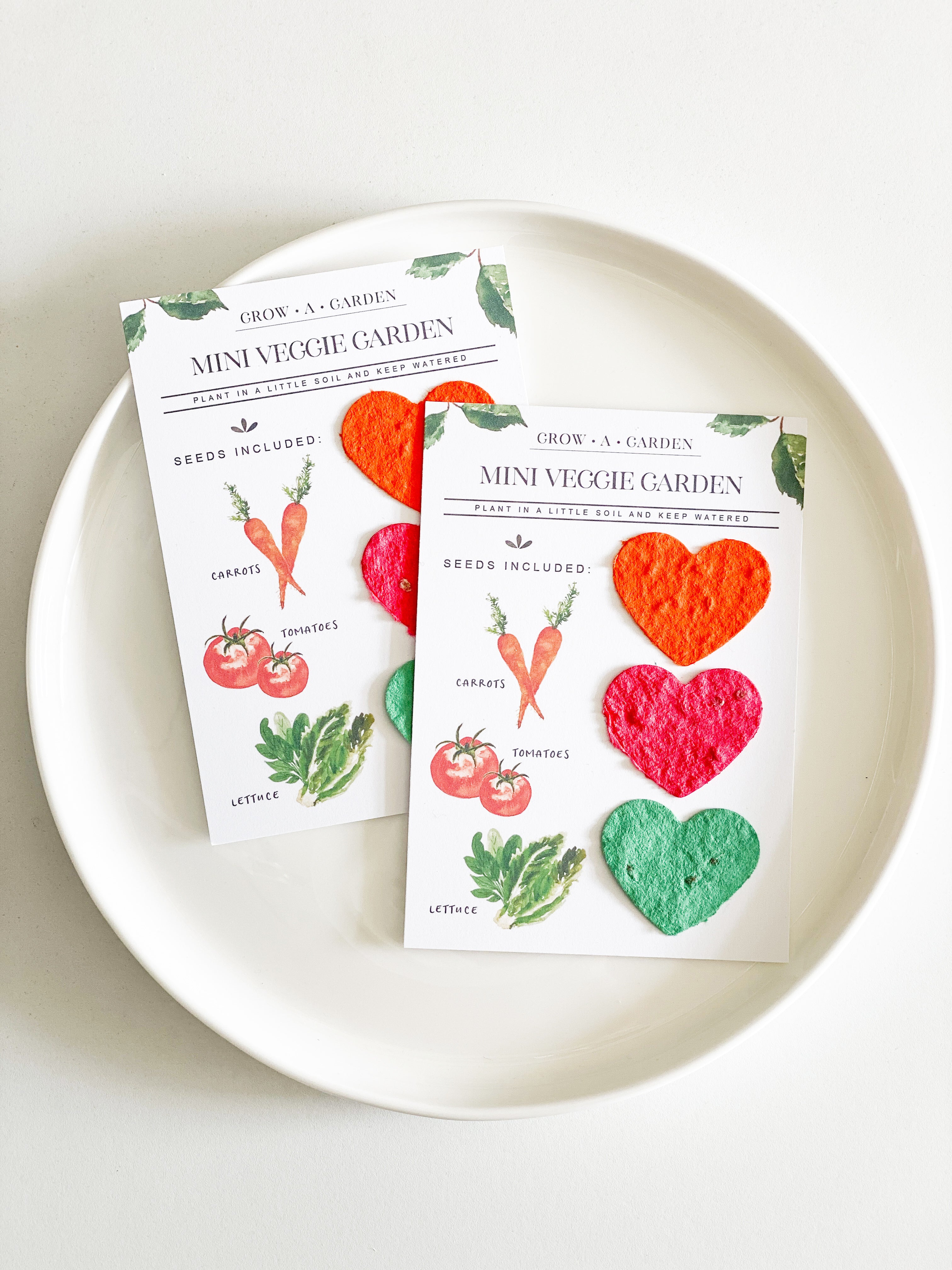 growNOTES™ Grow-A-Garden Mini Veggie Garden Kits