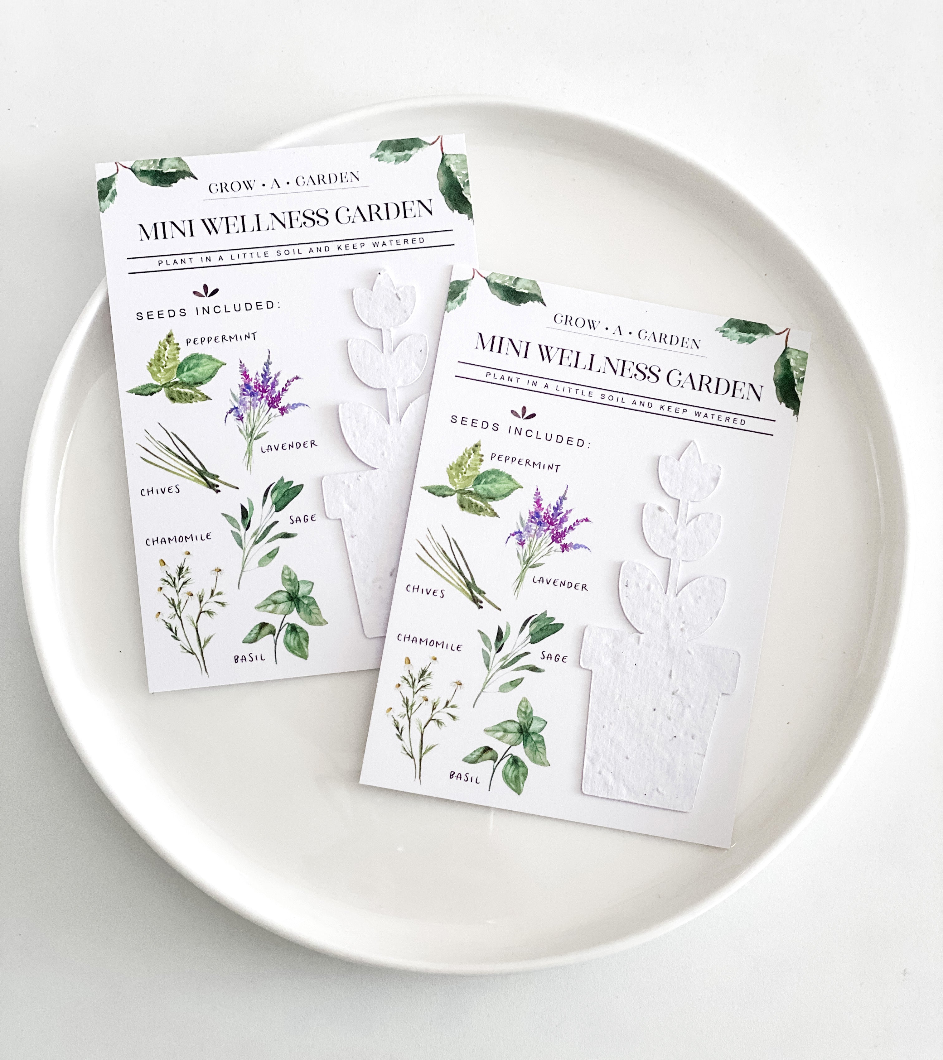 growNOTES™ Grow-A-Garden Mini Wellness Garden Kits