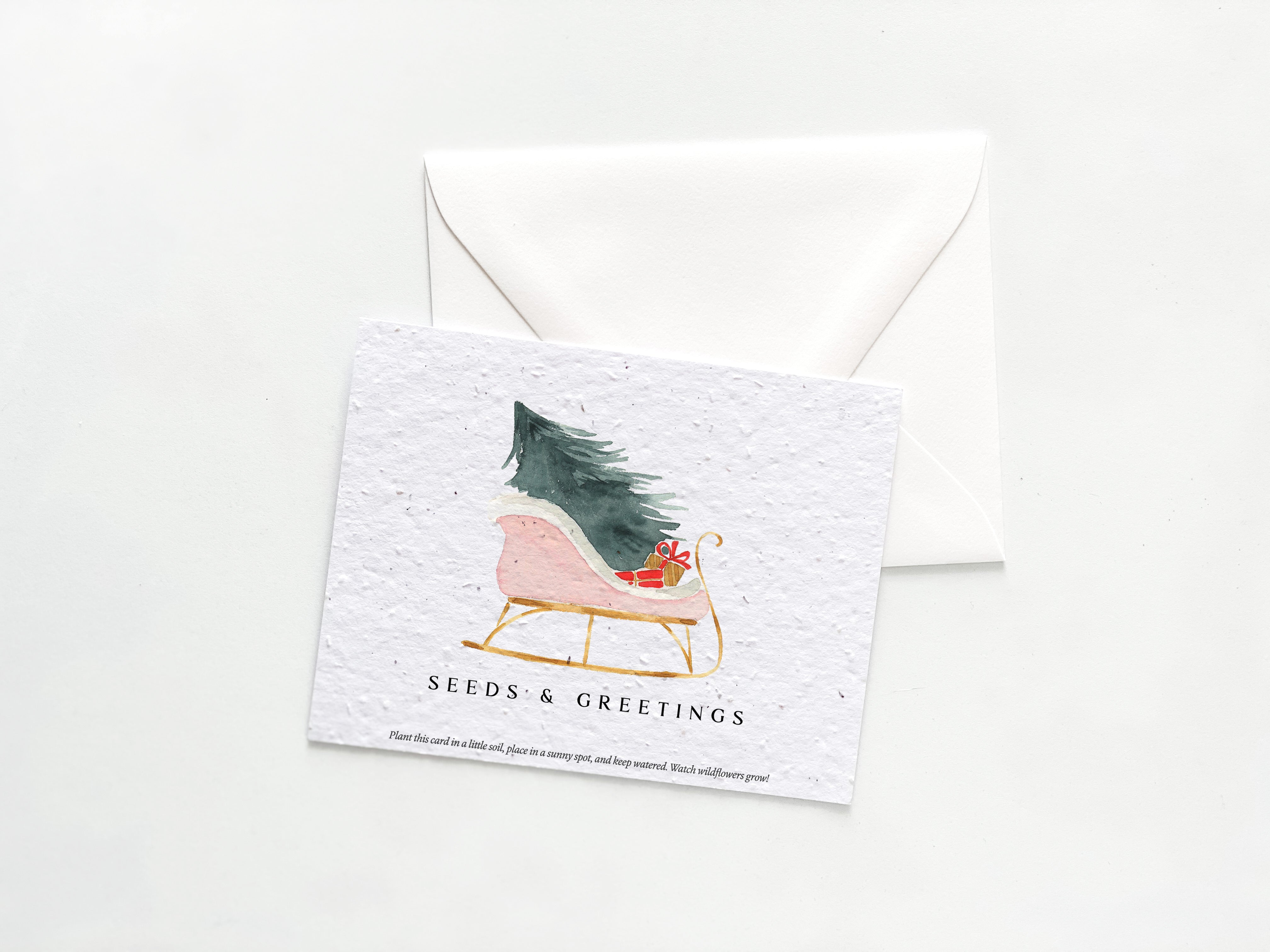 growNOTES™ Holiday Greeting Cards on Plantable Seed Paper - Seeds & Greetings Sleigh